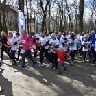 zdjęcie nr 22