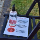 zdjęcie nr 22