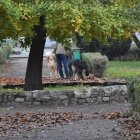 zdjęcie nr 19