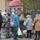 zdjęcie nr 43