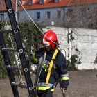 zdjęcie nr 22
