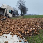 zdjęcie nr 4
