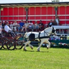 zdjęcie nr 50
