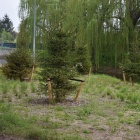 zdjęcie nr 29