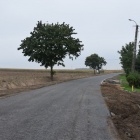 zdjęcie nr 10