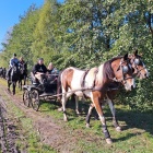 zdjęcie nr 14