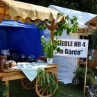 zdjęcie nr 42