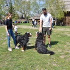 zdjęcie nr 45