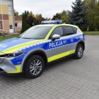 zdjęcie nr 10