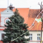 zdjęcie nr 12