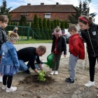 zdjęcie nr 27