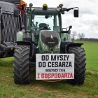 zdjęcie nr 39