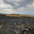 Pożar na polu koło Bonikowa (2)