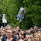 zdjęcie nr 42