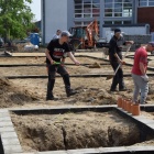 zdjęcie nr 7