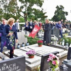 zdjęcie nr 27