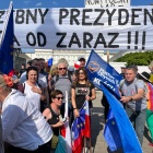 zdjęcie nr 12