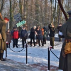 zdjęcie nr 12