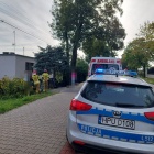 zdjęcie nr 5