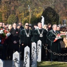 zdjęcie nr 9