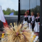zdjęcie nr 81