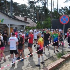 zdjęcie nr 22