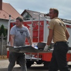zdjęcie nr 41
