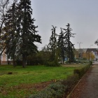 zdjęcie nr 8