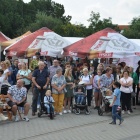 zdjęcie nr 39