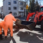 Będzie zielono przed urzędem w Kościanie (1)
