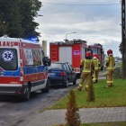 zdjęcie nr 7
