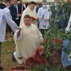 zdjęcie nr 13