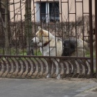 zdjęcie nr 53