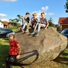 zdjęcie nr 14