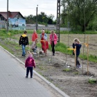 zdjęcie nr 14