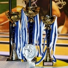 Kościańska liga bowlingu, podsumowanie (2)