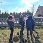 Drzewko życia marzec 2021 (2)
