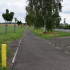zdjęcie nr 7