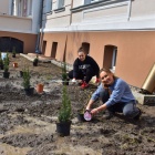 Sadzili rośliny przed urzędem (2)