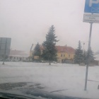 zdjęcie nr 23