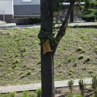 zdjęcie nr 30