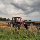 Pożar na polu koło Bonikowa (5)