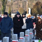 zdjęcie nr 5
