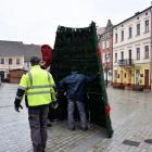 zdjęcie nr 10