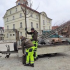 zdjęcie nr 3