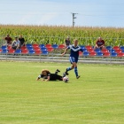 zdjęcie nr 12
