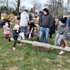 zdjęcie nr 46