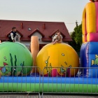 zdjęcie nr 41