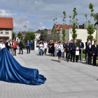 zdjęcie nr 9