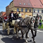 zdjęcie nr 5